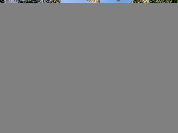 Hilton Head Condo 1009456