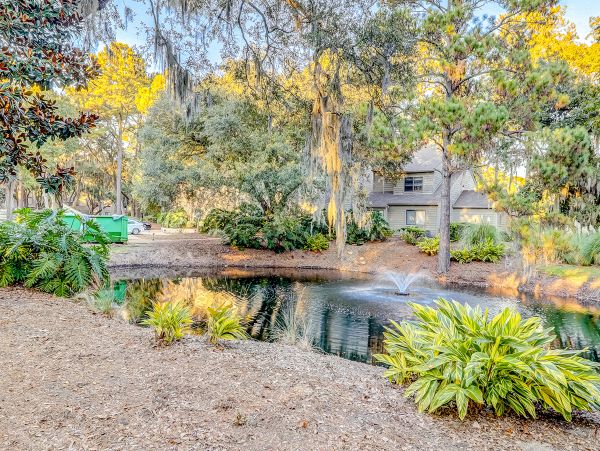 Hilton Head Condo 1009456