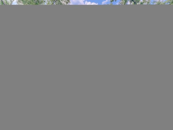 Hilton Head Condo 1009459
