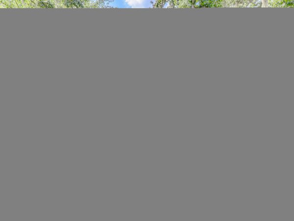 Hilton Head Condo 1009459