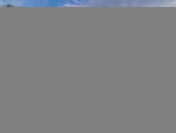 Hilton Head Condo 1009460