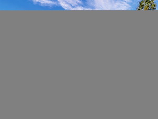 Hilton Head Condo 1009460