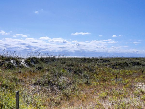 Hilton Head Condo 1009466