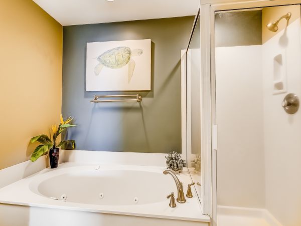 Hilton Head Condo 1009467