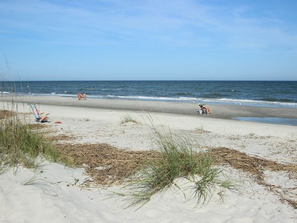 Hilton Head Condo 1009467