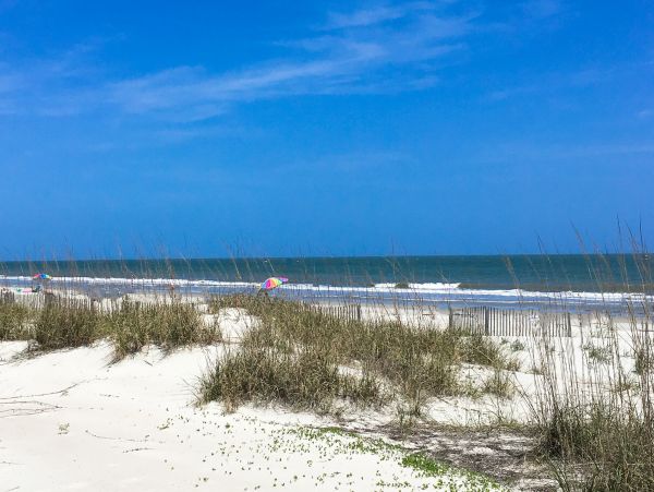 Hilton Head Condo 1009469
