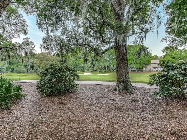 Hilton Head Condo 1009471