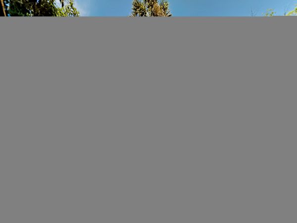 Hilton Head Home 1009472