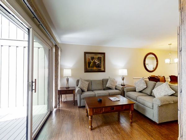 Hilton Head Condo 1009474
