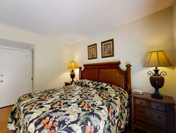 Hilton Head Condo 1009474
