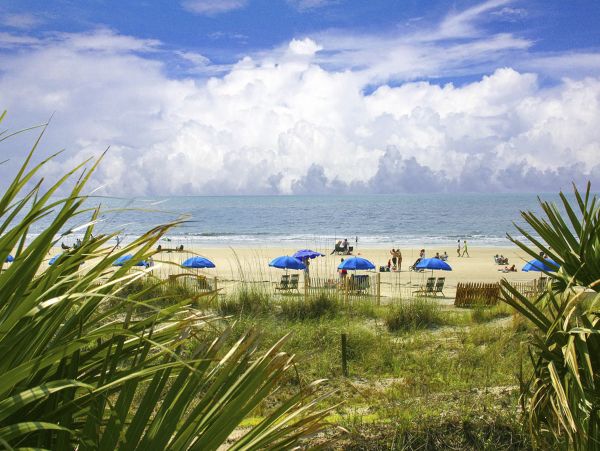 Hilton Head Home 1009479
