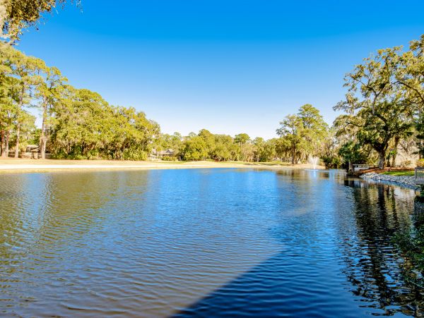 Hilton Head Condo 1009483