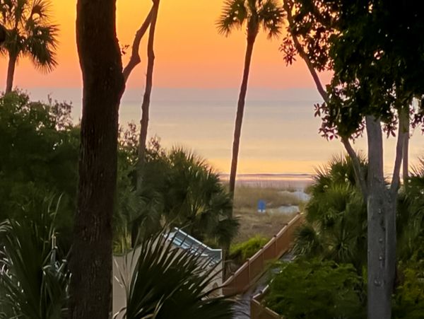 Hilton Head Condo 1009485