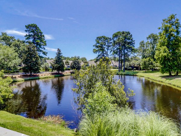 Hilton Head Condo 1009486