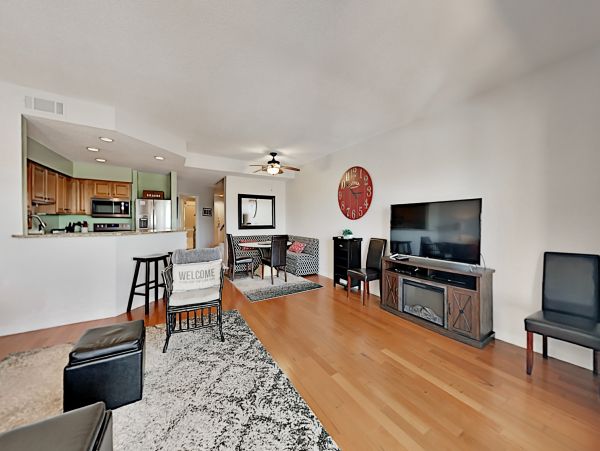 Hilton Head Condo 1009487