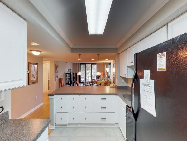 Hilton Head Condo 1009491