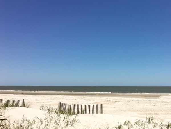 Hilton Head Condo 1009498