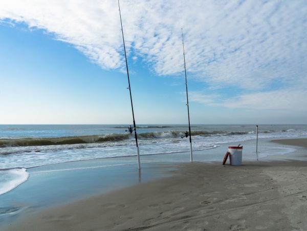 Hilton Head Condo 1009498