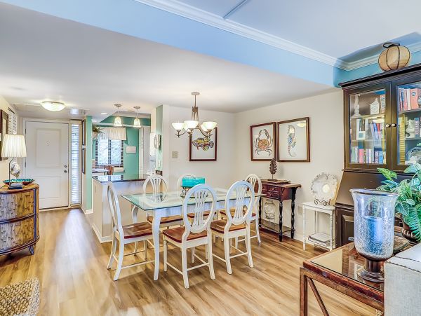 Hilton Head Condo 1009502