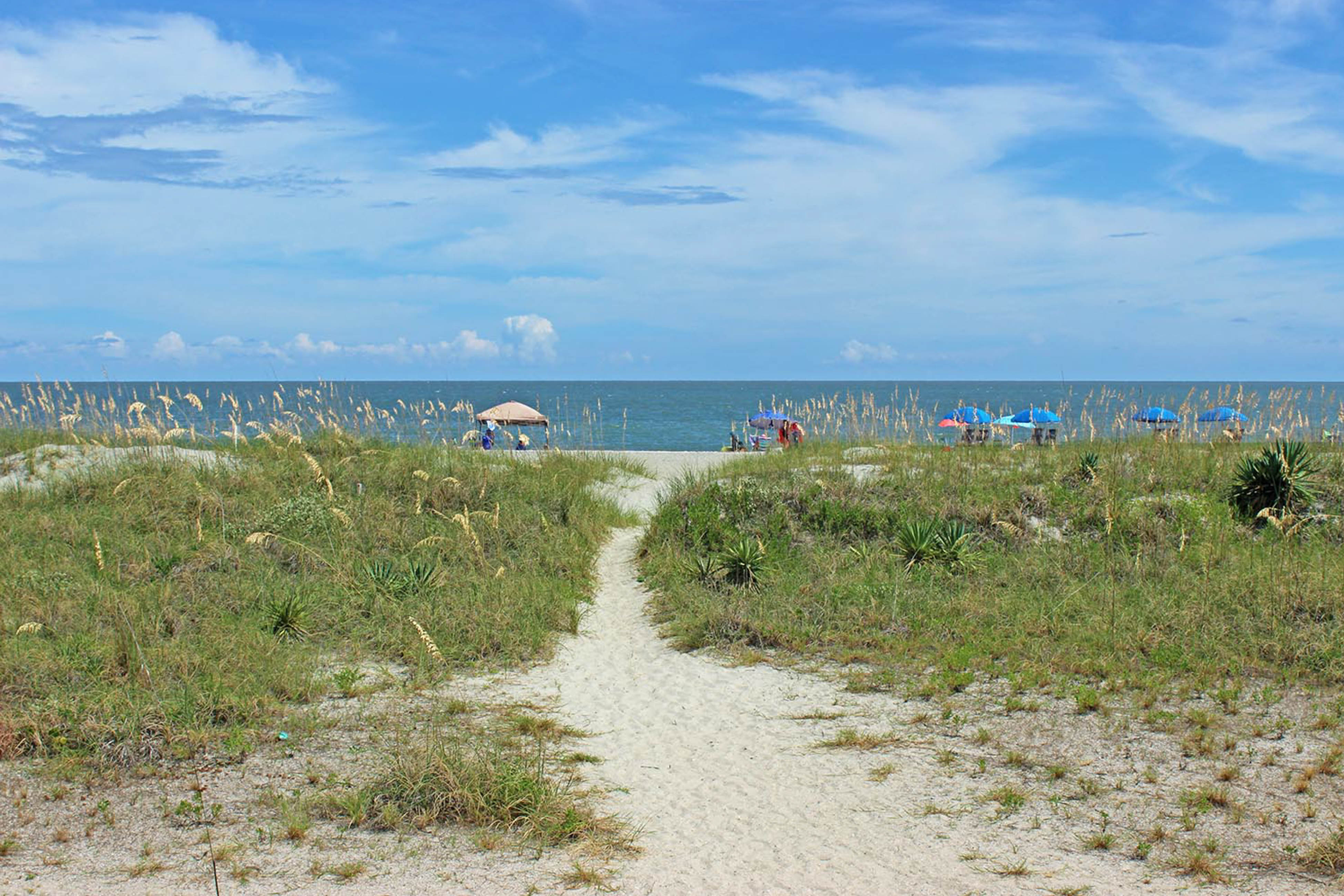 Hilton Head Condo 1009505