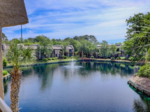Hilton Head Condo 1009511