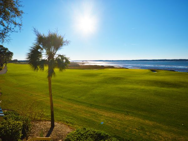 Hilton Head Condo 1009512