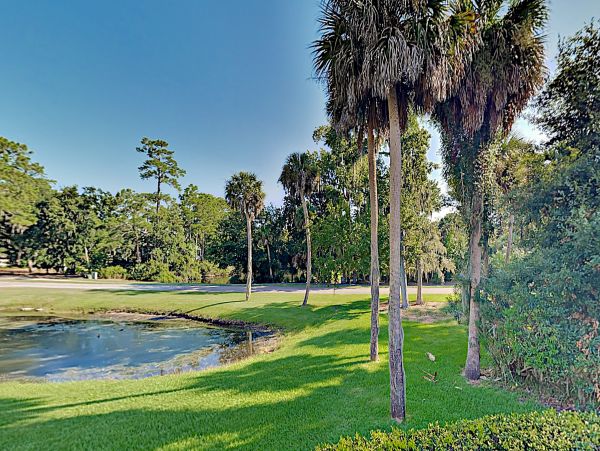 Hilton Head Home 1009513