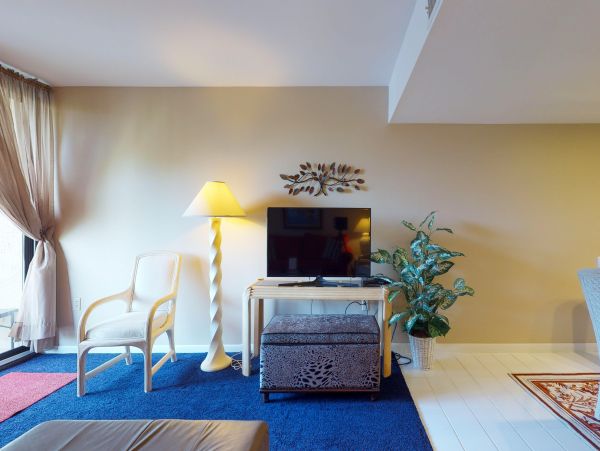 Hilton Head Condo 1009514