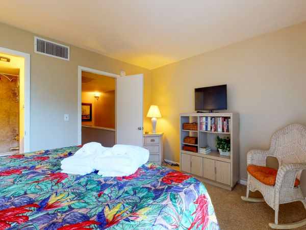 Hilton Head Condo 1009514