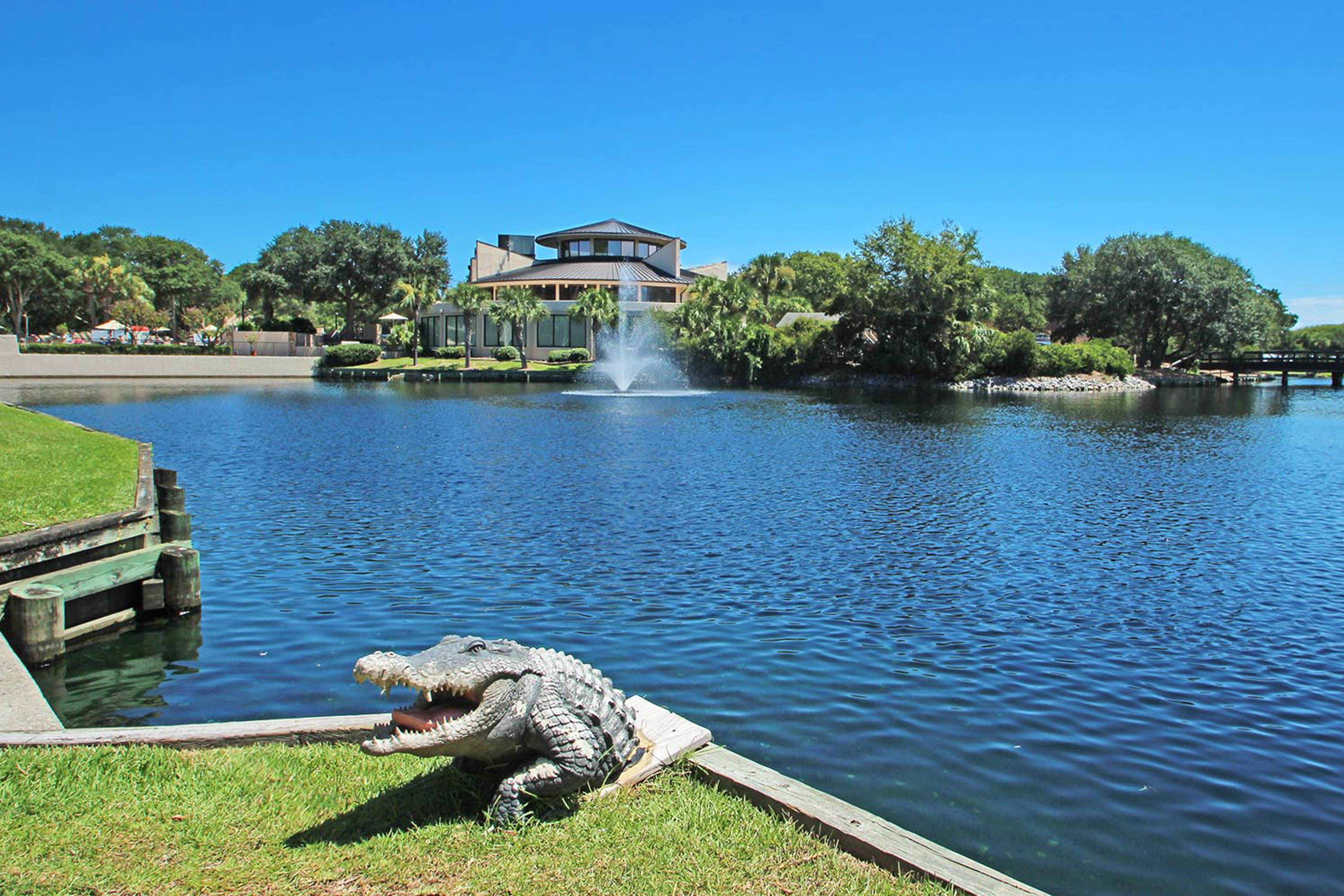 Hilton Head Condo 1009514