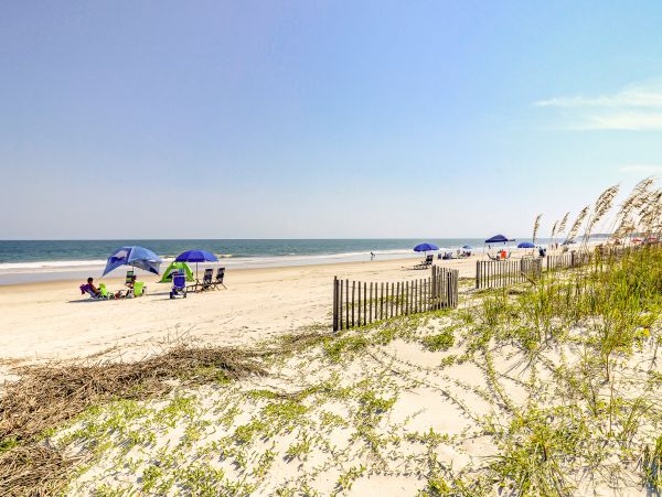 Hilton Head Condo 1009518
