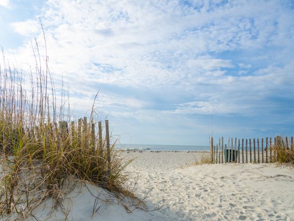 Hilton Head Condo 1009520