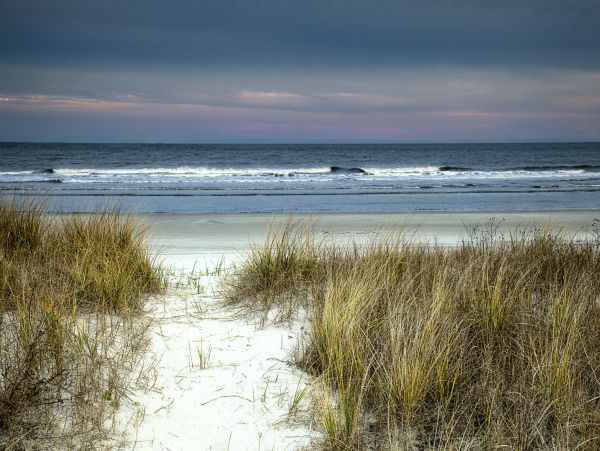 Hilton Head Condo 1009520