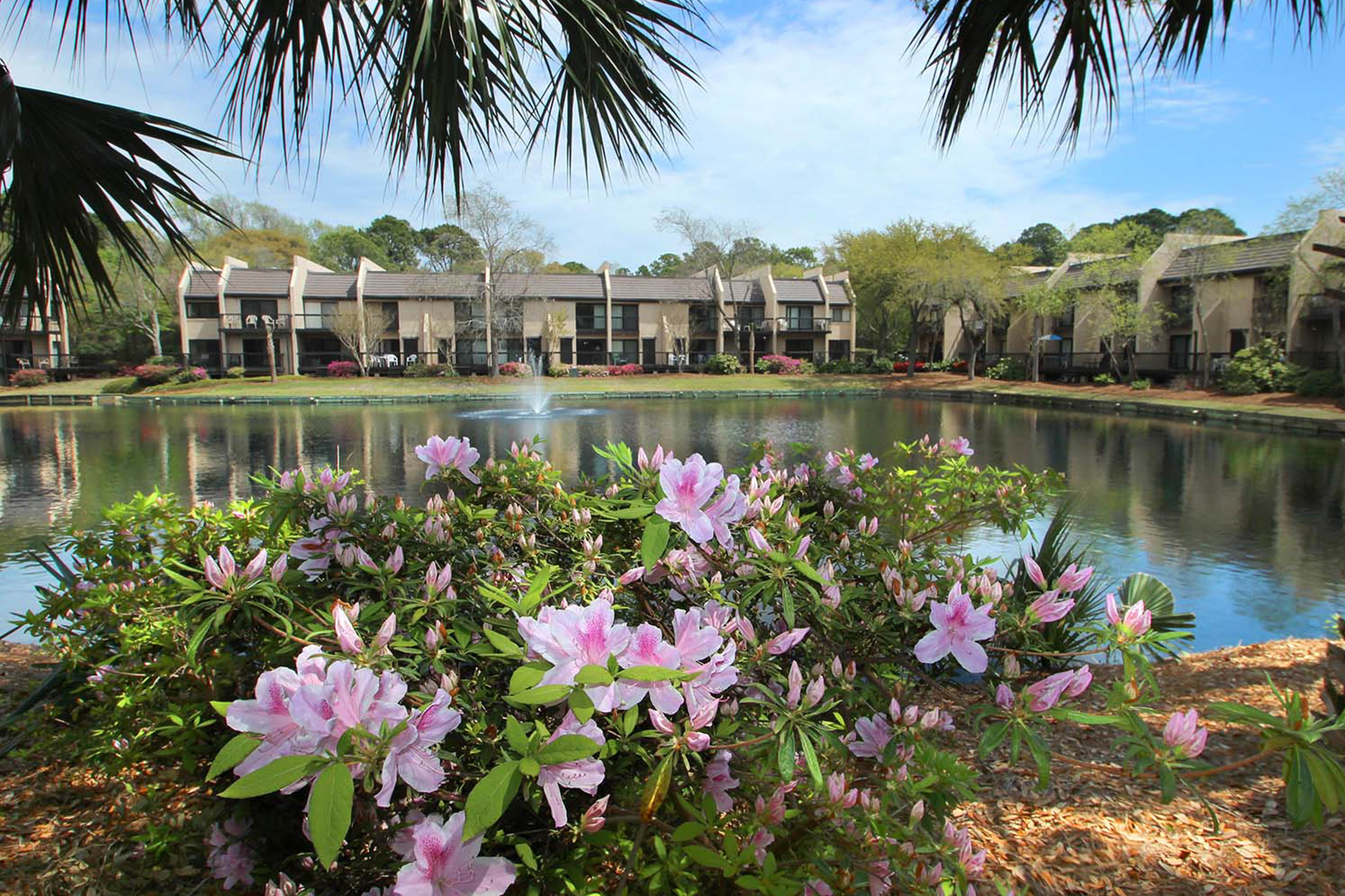 Hilton Head Condo 1009521
