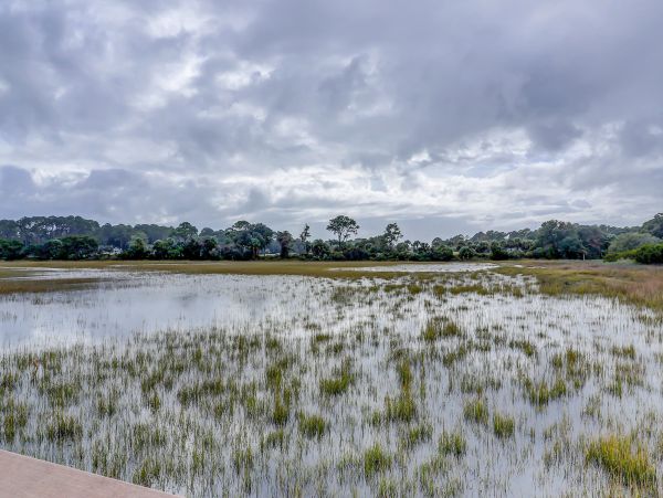 Hilton Head Condo 1009528