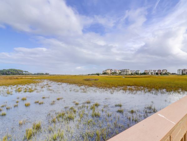 Hilton Head Condo 1009528