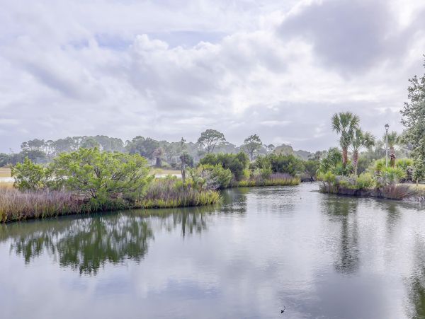 Hilton Head Condo 1009528
