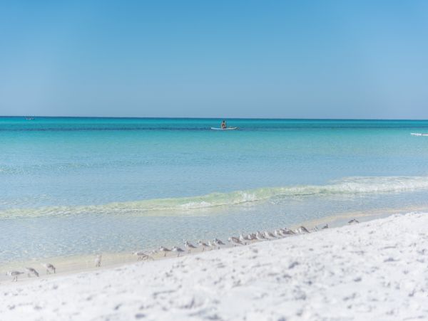 Lido Key Vacation Home Elevator Gulf Views