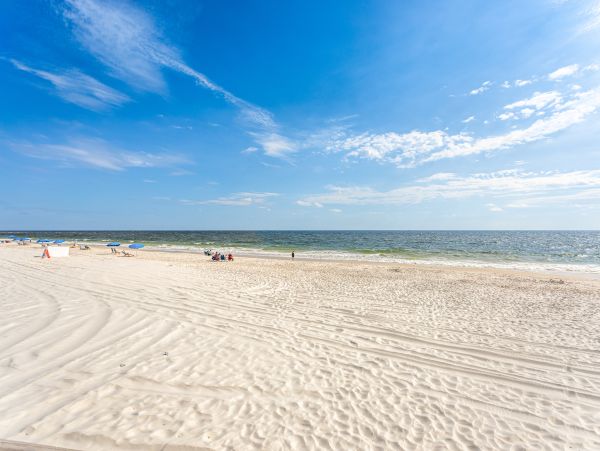 Alabama Beach Areas Home 1009532