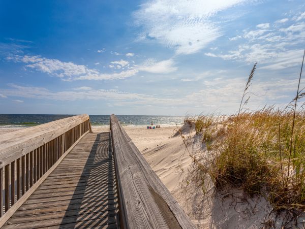Alabama Beach Areas Home 1009532