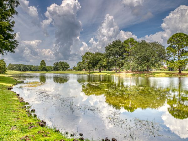 Alabama Beach Areas Home 1009543