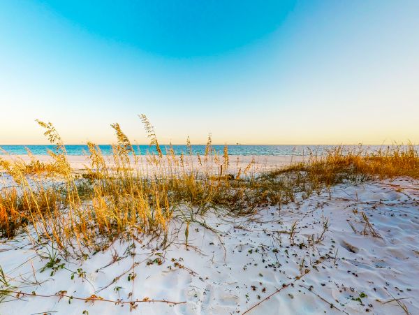 Alabama Beach Areas Home 1009561
