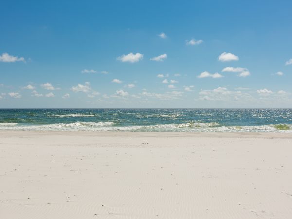 Alabama Beach Areas Home 1009563