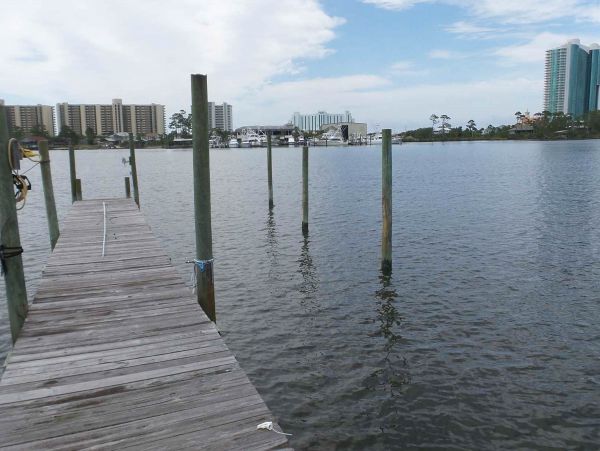 Alabama Beach Areas Home 1009574