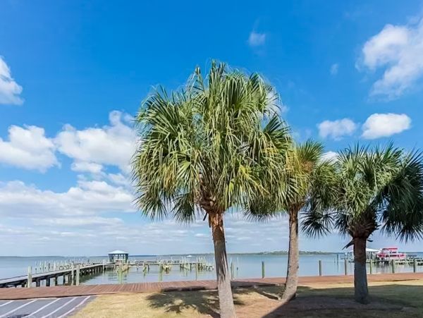 Alabama Beach Areas Home 1009579