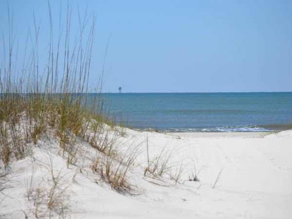 Alabama Beach Areas Home 1009587