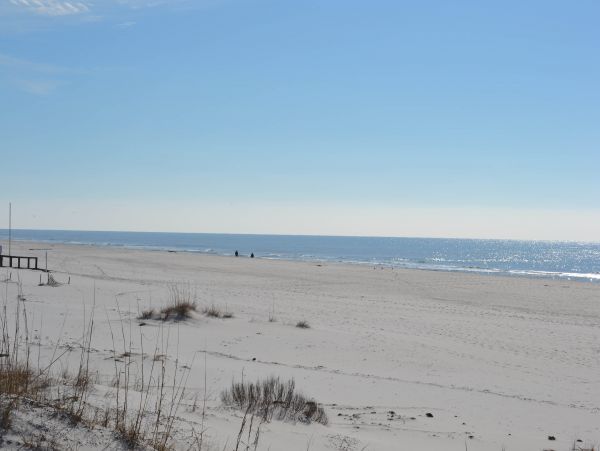 Alabama Beach Areas Home 1009587
