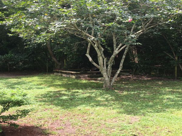 Alabama Beach Areas Home 1009594