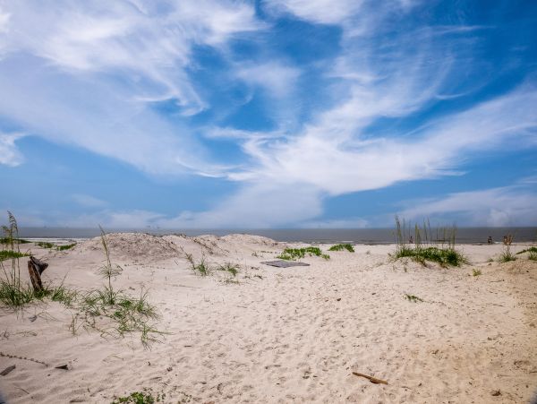 Alabama Beach Areas Home 1009595