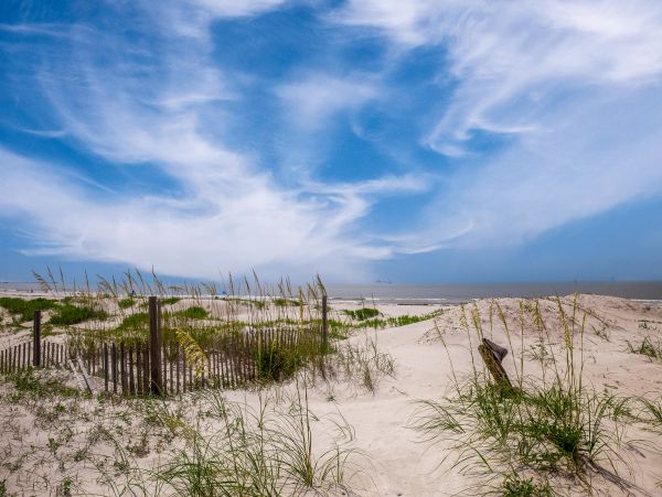 Alabama Beach Areas Home 1009595
